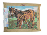 Kit Quadretti Mezzo Punto Cavalli 30 x 40 cm Ricamo Punto Croce