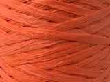 Gomitolo di Rafia Naturale Ecologica Colorata da 265mt 14 Colori 